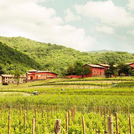Agriturismo L'Uva E Le Stelle Faedis Екстериор снимка