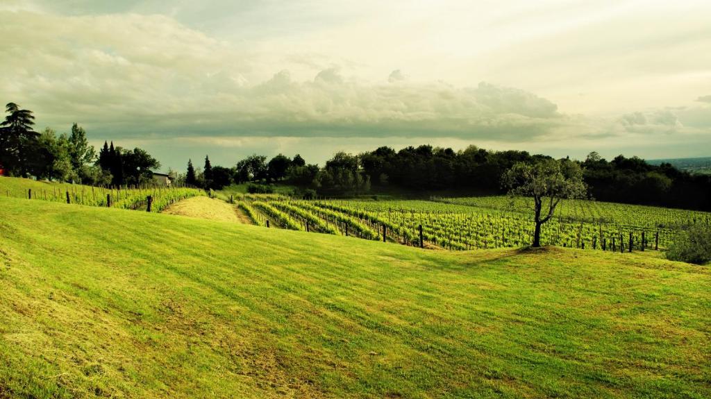 Agriturismo L'Uva E Le Stelle Faedis Екстериор снимка