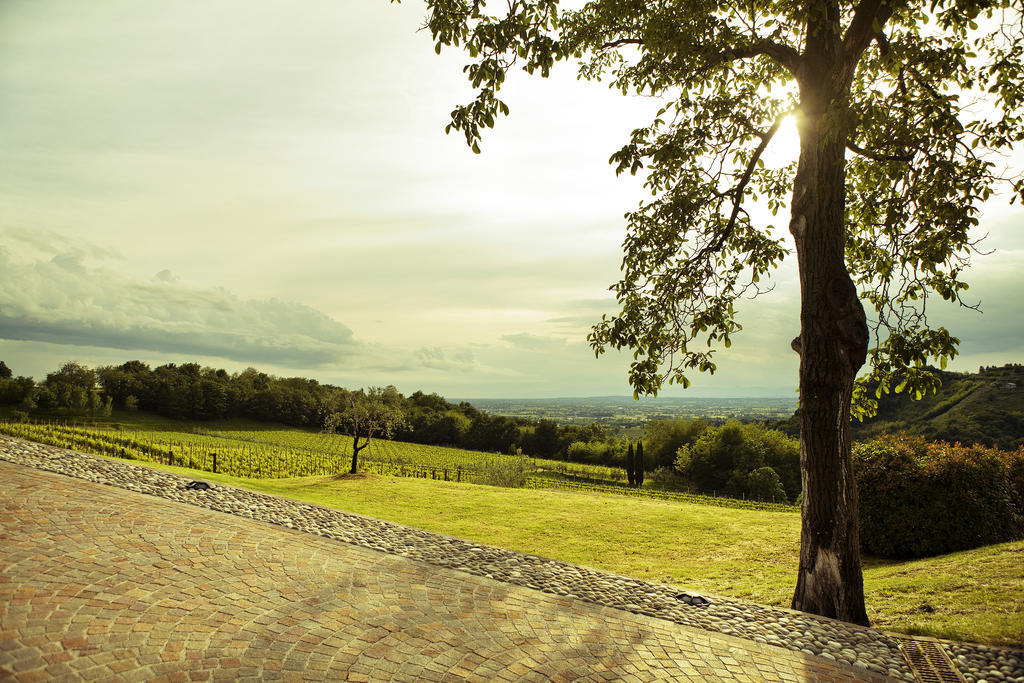 Agriturismo L'Uva E Le Stelle Faedis Екстериор снимка