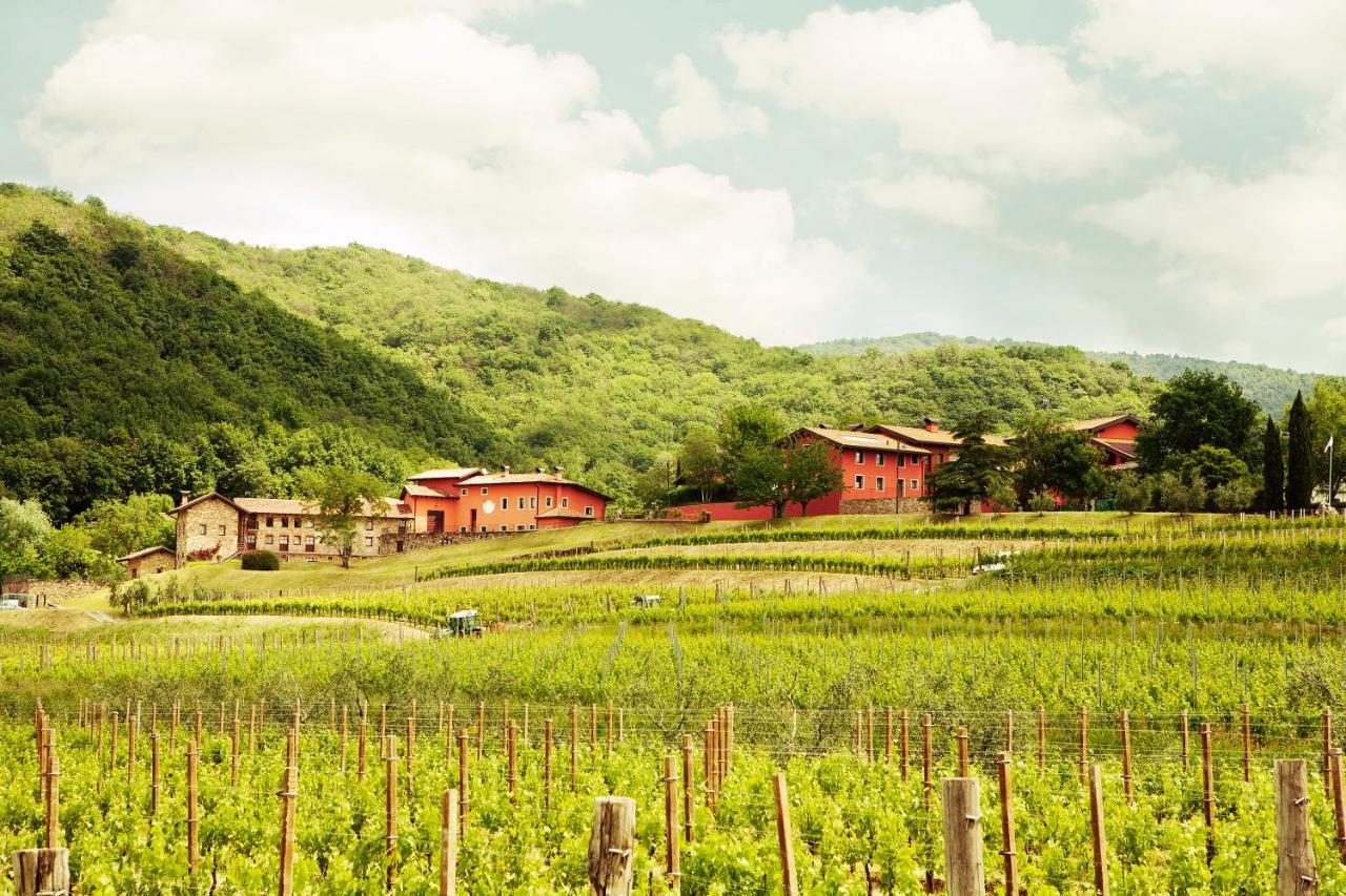 Agriturismo L'Uva E Le Stelle Faedis Екстериор снимка