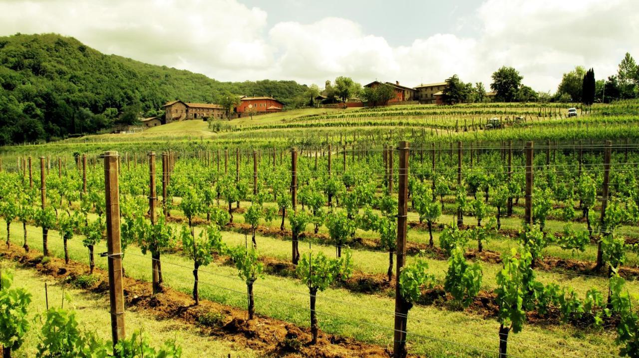 Agriturismo L'Uva E Le Stelle Faedis Екстериор снимка