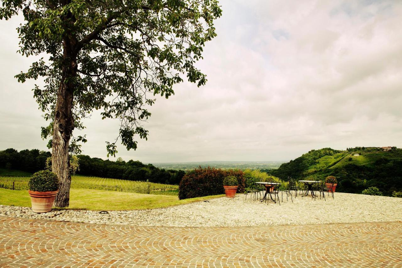 Agriturismo L'Uva E Le Stelle Faedis Екстериор снимка