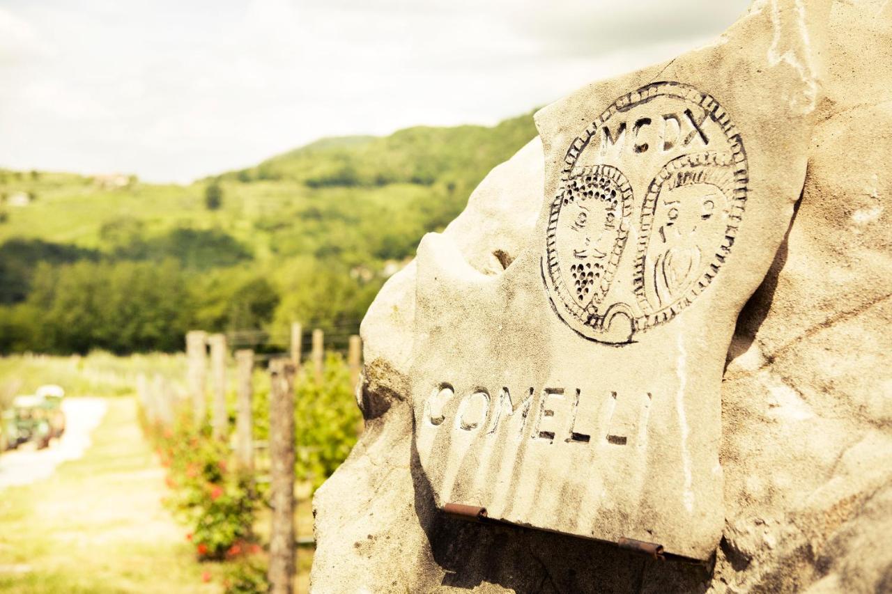Agriturismo L'Uva E Le Stelle Faedis Екстериор снимка