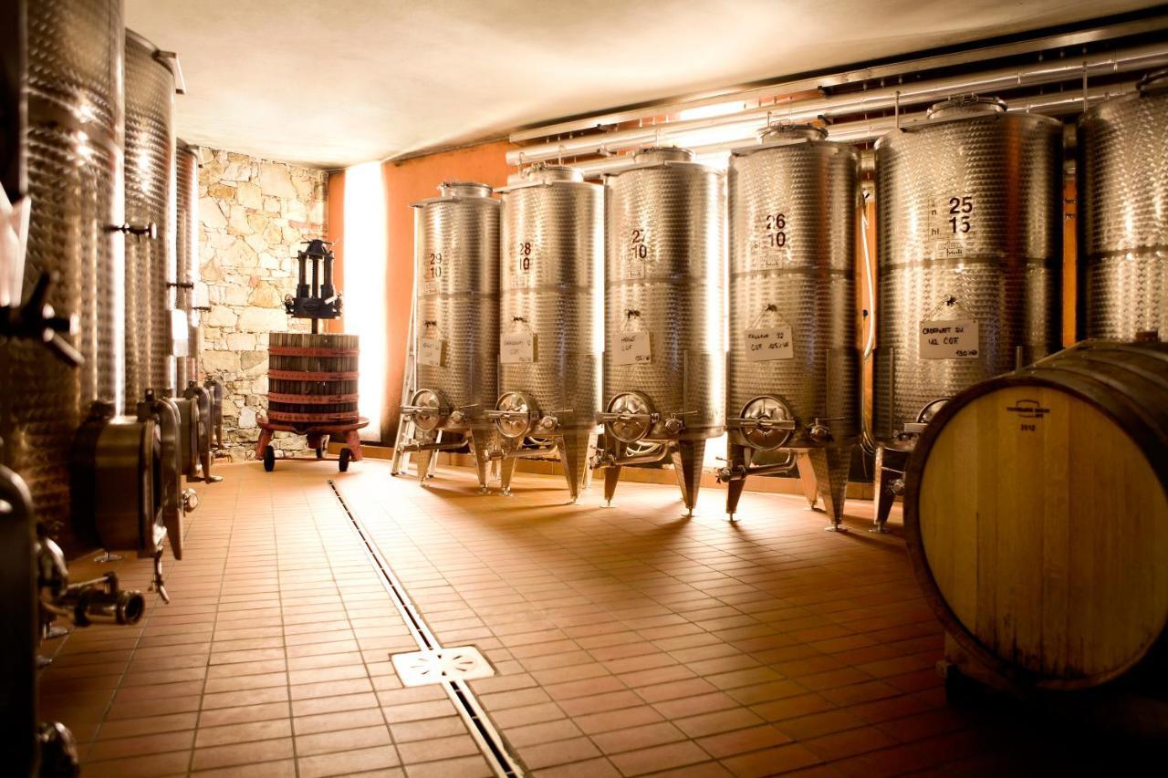 Agriturismo L'Uva E Le Stelle Faedis Екстериор снимка