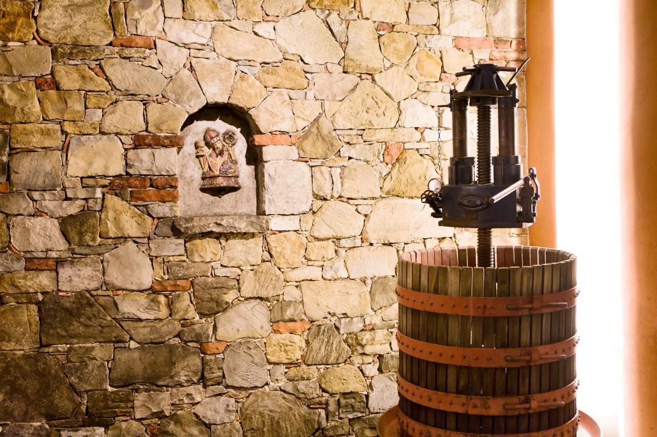 Agriturismo L'Uva E Le Stelle Faedis Екстериор снимка